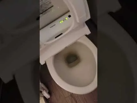 動画: トイレ清掃のビフォー（清掃前のようす）
