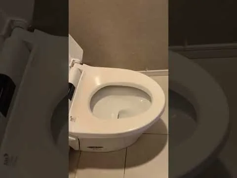 動画: トイレ清掃のアフター（清掃後のようす）